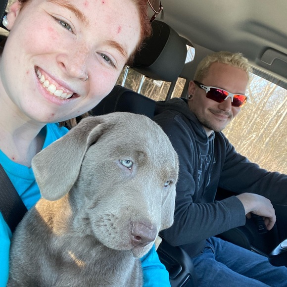 Meet your Posher, Abigail - Picture 6 of 6